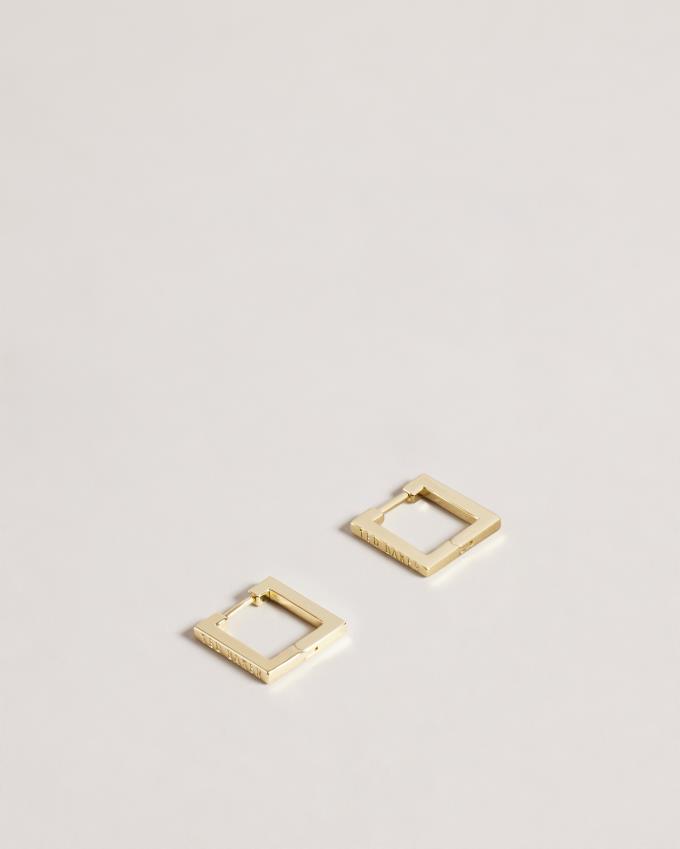 Boucles d'Oreilles Ted Baker Small Square Hinge Doré Femme | OTW-84745101